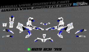 ADHESIVOS Y PEGATINAS DE VINILO VOGE 900 DSX Rt005-04