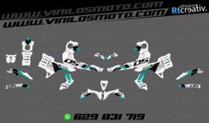 ADHESIVOS Y PEGATINAS DE VINILO VOGE 900 DSX Rt005-06