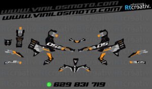 ADHESIVOS Y PEGATINAS DE VINILO VOGE 900 DSX Rt005-08