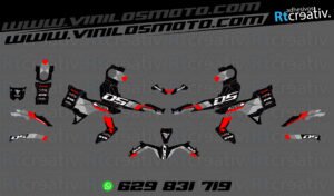 ADHESIVOS Y PEGATINAS DE VINILO VOGE 900 DSX Rt005-09