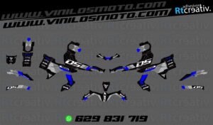 ADHESIVOS Y PEGATINAS DE VINILO VOGE 900 DSX Rt005-10