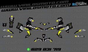 ADHESIVOS Y PEGATINAS DE VINILO VOGE 900 DSX Rt005-11