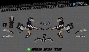 ADHESIVOS Y PEGATINAS DE VINILO VOGE 900 DSX Rt005-12