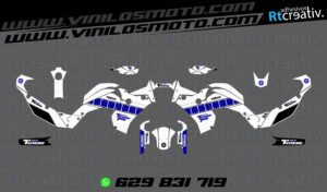 ADHESIVOS Y PEGATINAS DE VINILO YAMAHA TENERE Rt027-04