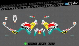 175€ - Voge DS800 Rally | Diseño RT001 6 ADHESIVOS VINILOS Y PEGATINAS DE VOGE DS800 RALLY RT001