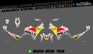 175€ - Voge DS800 Rally | Diseño RT001 20 ADHESIVOS VINILOS Y PEGATINAS DE VOGE DS800 RALLY RT001