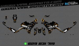 ADHESIVOS VINILOS Y PEGATINAS DE VOGE DS800 RALLY RT002