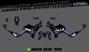 ADHESIVOS VINILOS Y PEGATINAS DE VOGE DS800 RALLY RT002