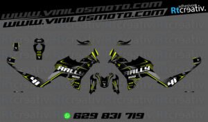 ADHESIVOS VINILOS Y PEGATINAS DE VOGE DS800 RALLY RT002