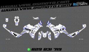 ADHESIVOS VINILOS Y PEGATINAS DE VOGE DS800 RALLY RT002