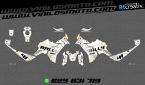 ADHESIVOS VINILOS Y PEGATINAS DE VOGE DS800 RALLY RT002