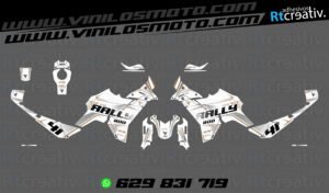 ADHESIVOS VINILOS Y PEGATINAS DE VOGE DS800 RALLY RT002