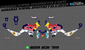 ADHESIVOS VINILOS Y PEGATINAS DE VOGE DS800 RALLY RT003