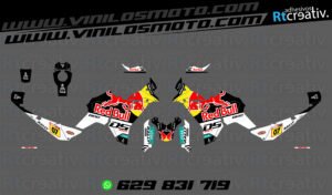 ADHESIVOS VINILOS Y PEGATINAS DE VOGE DS800 RALLY RT003