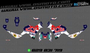 ADHESIVOS VINILOS Y PEGATINAS DE VOGE DS800 RALLY RT003