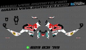 ADHESIVOS VINILOS Y PEGATINAS DE VOGE DS800 RALLY RT003