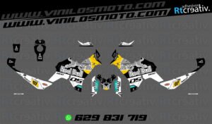 ADHESIVOS VINILOS Y PEGATINAS DE VOGE DS800 RALLY RT003