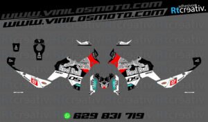 ADHESIVOS VINILOS Y PEGATINAS DE VOGE DS800 RALLY RT003