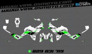 ADHESIVOS VINILOS Y PEGATINAS DE VOGE DS800 RALLY RT004