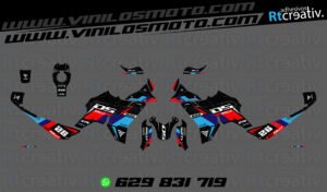 ADHESIVOS VINILOS Y PEGATINAS DE VOGE DS800 RALLY RT004