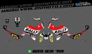 ADHESIVOS VINILOS Y PEGATINAS DE VOGE DS800 RALLY RT005