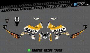 ADHESIVOS VINILOS Y PEGATINAS DE VOGE DS800 RALLY RT005