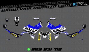 ADHESIVOS VINILOS Y PEGATINAS DE VOGE DS800 RALLY RT005