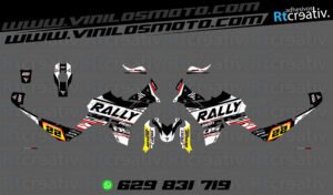 ADHESIVOS VINILOS Y PEGATINAS DE VOGE DS800 RALLY RT005