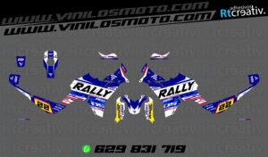 ADHESIVOS VINILOS Y PEGATINAS DE VOGE DS800 RALLY RT005