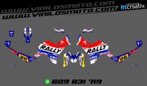ADHESIVOS VINILOS Y PEGATINAS DE VOGE DS800 RALLY RT005