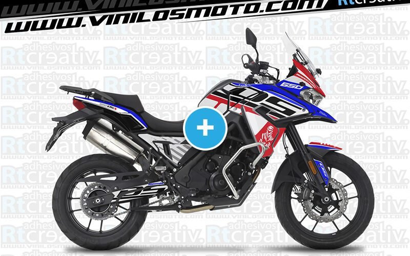 ADHESIVOS Y PEGATINAS DE VINILO VOGE DS 650 X Rt001